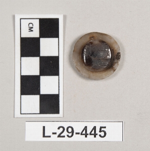 L-29-445