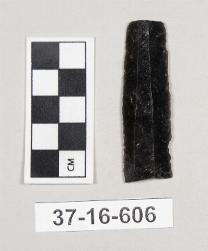 37-16-606