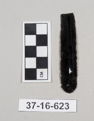 37-16-623