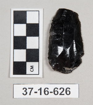 37-16-626