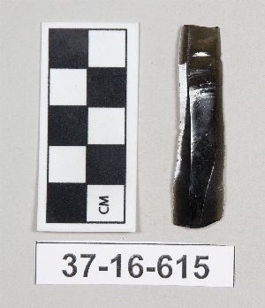 37-16-615