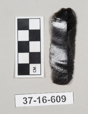 37-16-609
