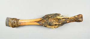 NA10659