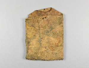 NA10698