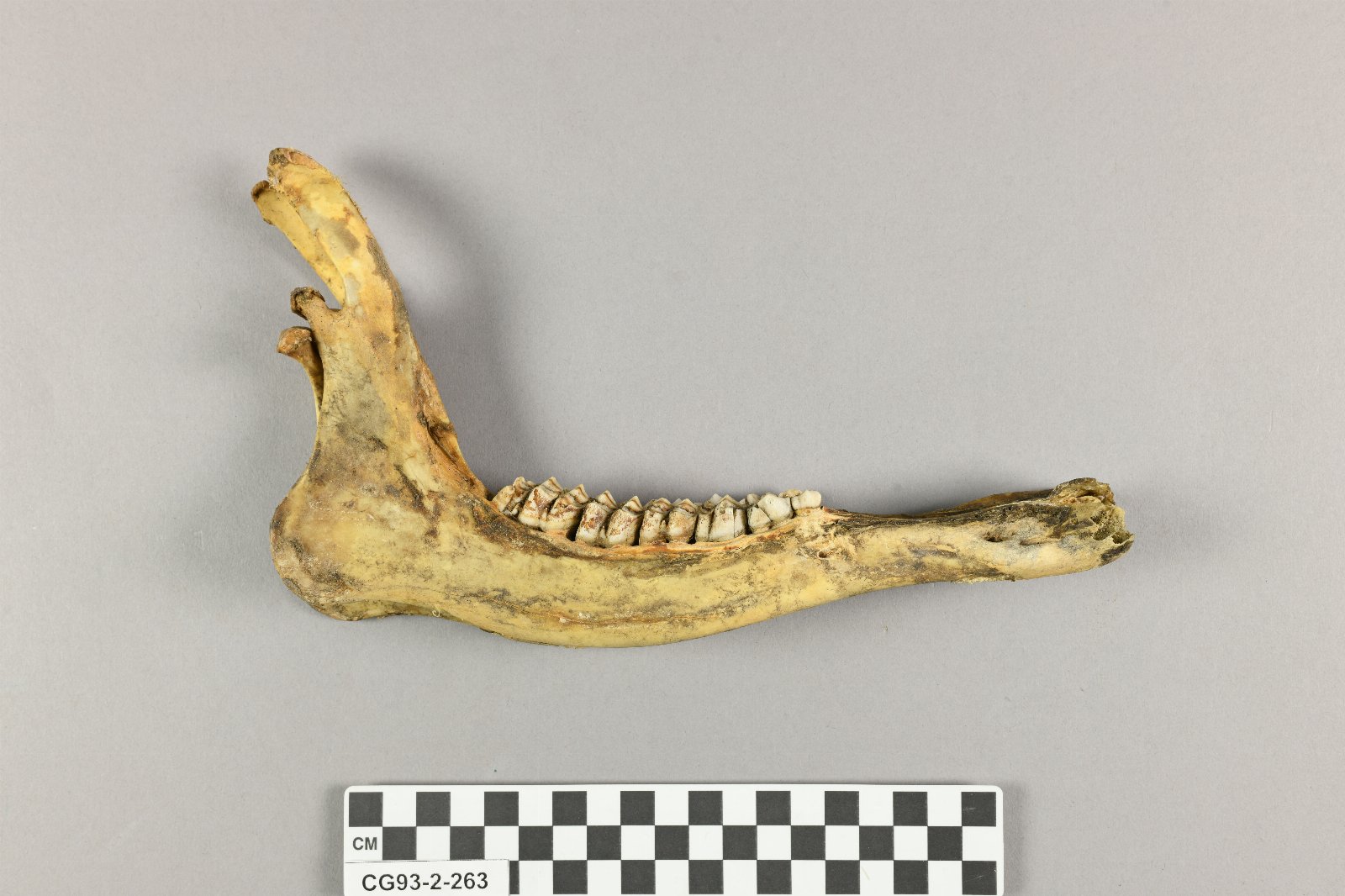 859046