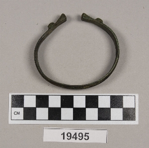 19495