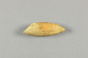 NA4807