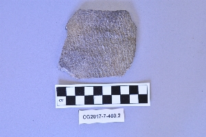 CG2017-7-460.2