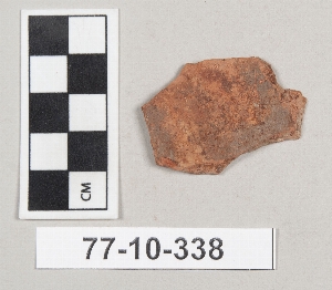 77-10-338