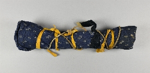 NA10551