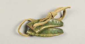 NA10589