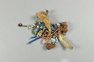 NA10567