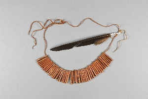 NA10579
