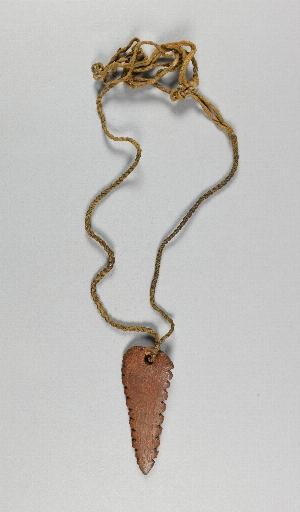 NA10584