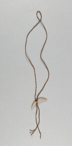 NA10586