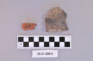 35-21-298.5