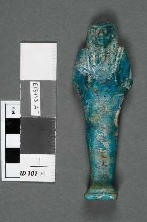 E13443