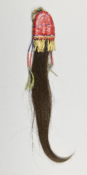 NA5420