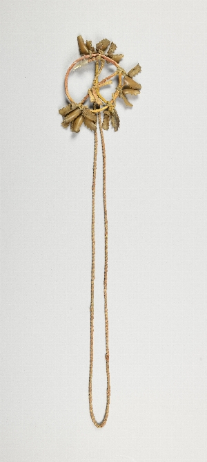 NA5421