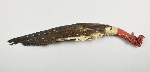 NA5453