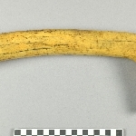 864446
