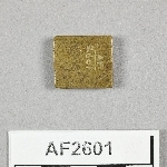 864567