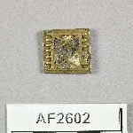 864568