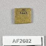 864569