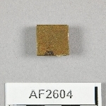 864574