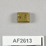 864591
