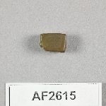 864595