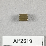 864608