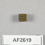 864611