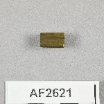 864617