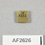 864626