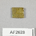 864628