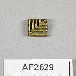 864629