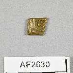 864631