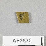 864632