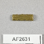 864633