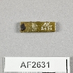 864634