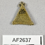 864645