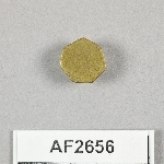 864695