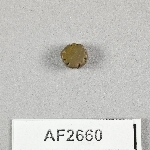 864703