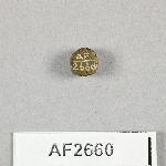 864704