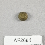 864707
