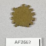 864709