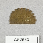 864712