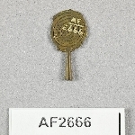 864716