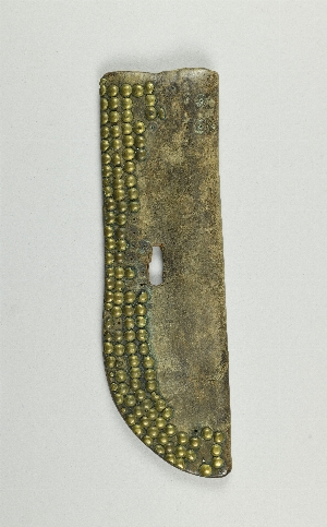 NA5460